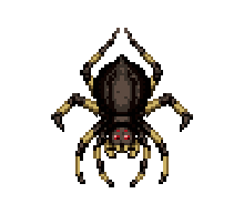 Giant Joro Spider